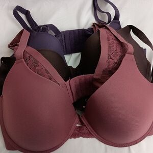 DANSKIN Like New! Sexy Lace Trimmed Bra Set - Purple,Pink‎ and Brown 36D (#108)